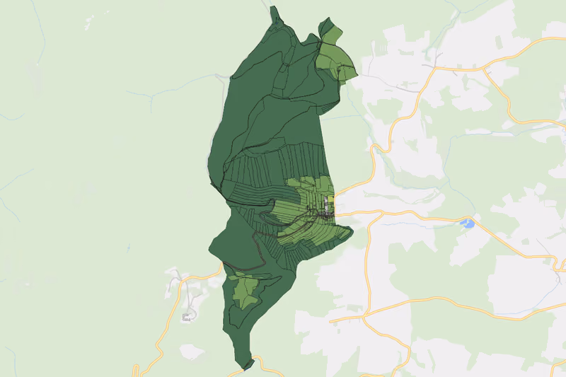 Kartenvorschau des Bodenverbrauchs der KG Nesselstauden