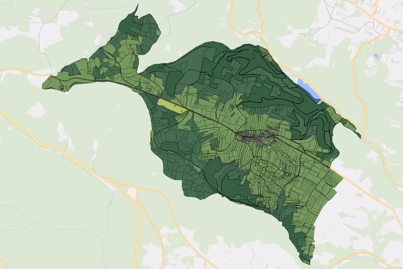 Kartenvorschau des Bodenverbrauchs der KG Mittelberg