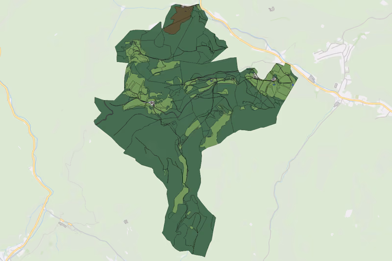 Kartenvorschau des Bodenverbrauchs der KG Oberried