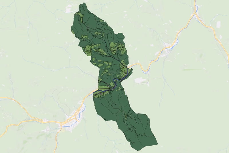 Kartenvorschau des Bodenverbrauchs der KG Rachsenbachrotte