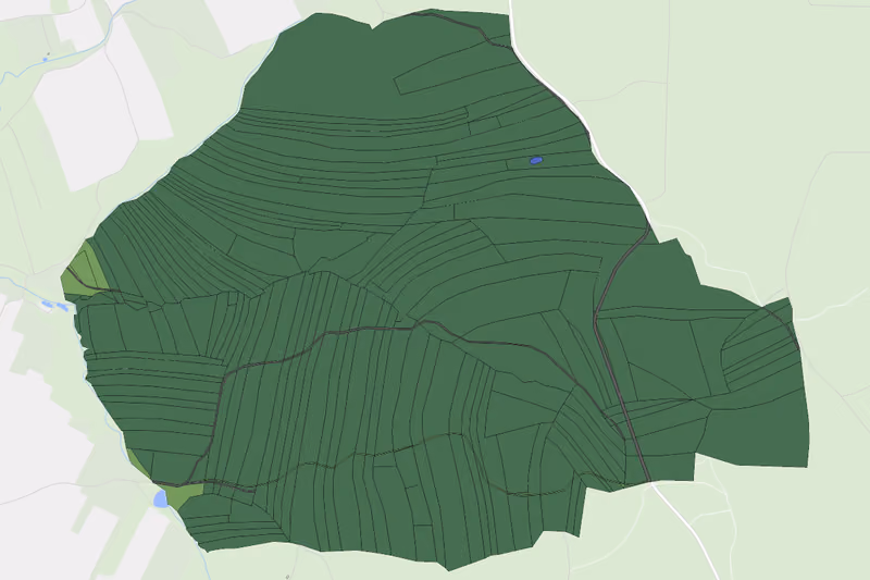 Kartenvorschau des Bodenverbrauchs der KG Altwaidhofen Großer Wald