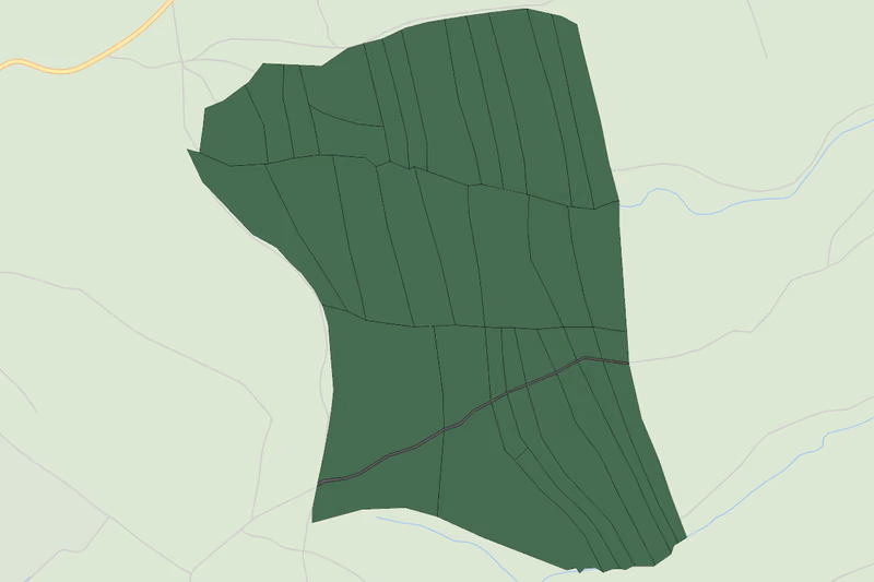 Kartenvorschau des Bodenverbrauchs der KG Seyfrieds Wald