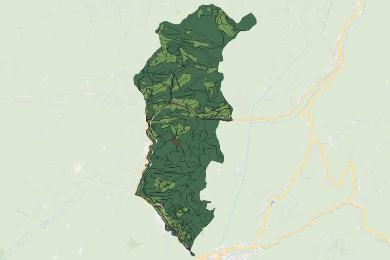 Kartenvorschau des Bodenverbrauchs der KG Hohenberg