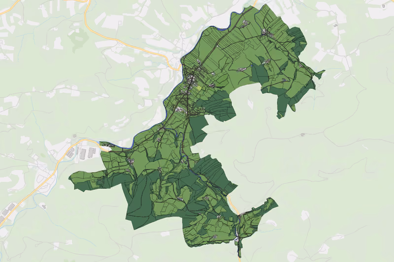Kartenvorschau des Bodenverbrauchs der KG Wang