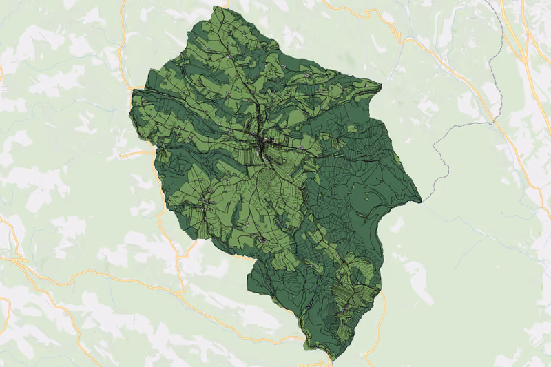 Kartenvorschau des Bodenverbrauchs der KG Wiesmath