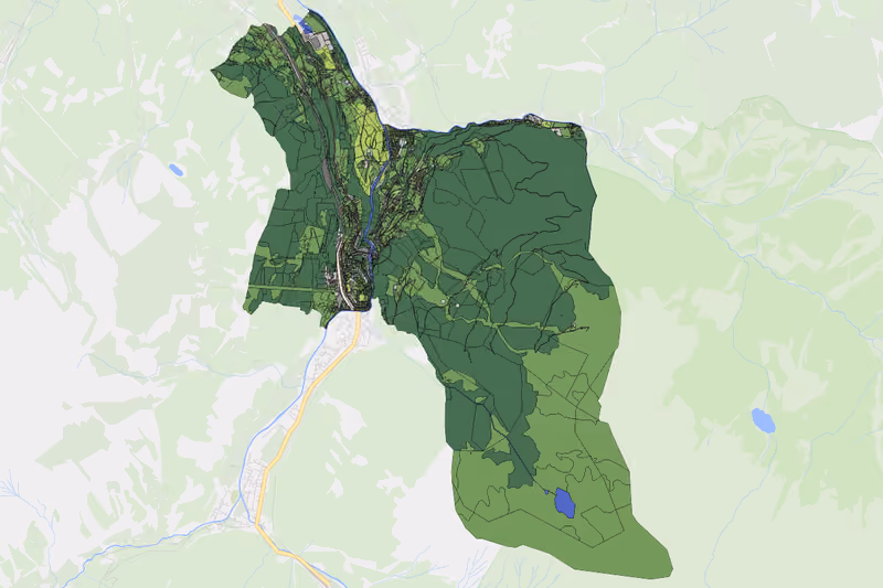 Kartenvorschau des Bodenverbrauchs der KG Badgastein