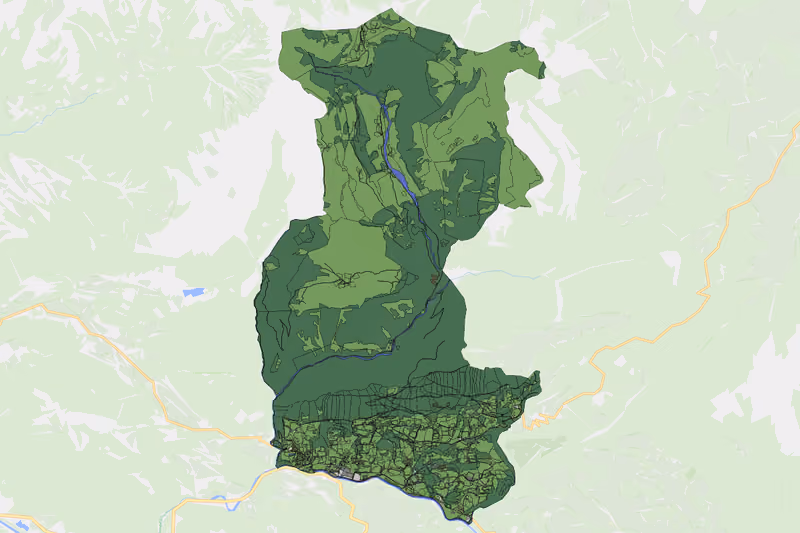 Kartenvorschau des Bodenverbrauchs der KG Rigaus