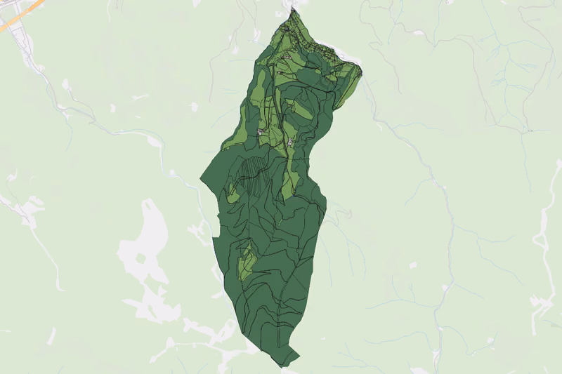 Kartenvorschau des Bodenverbrauchs der KG Forstwald