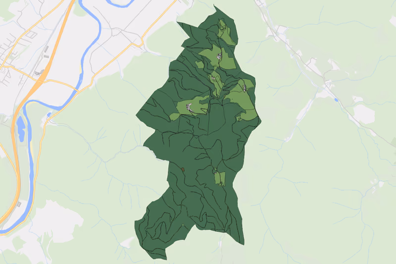 Kartenvorschau des Bodenverbrauchs der KG Lichtensteinerberg