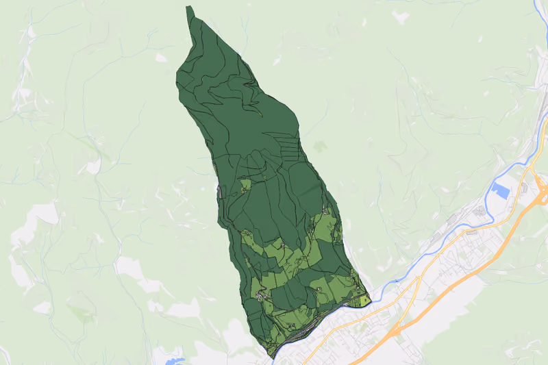 Kartenvorschau des Bodenverbrauchs der KG Mitterberg