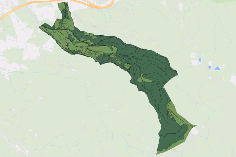 Kartenvorschau des Bodenverbrauchs der KG Schöneben-Ganz