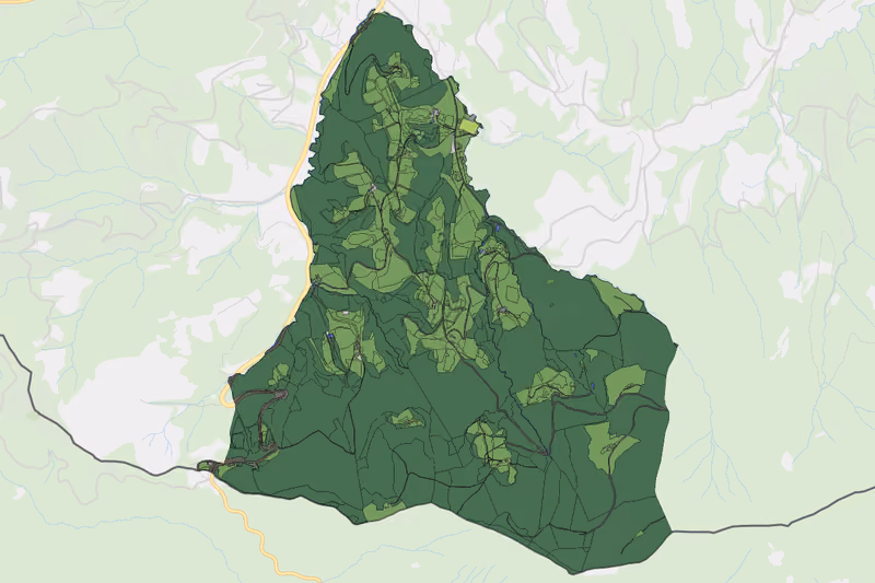 Kartenvorschau des Bodenverbrauchs der KG Bachholz