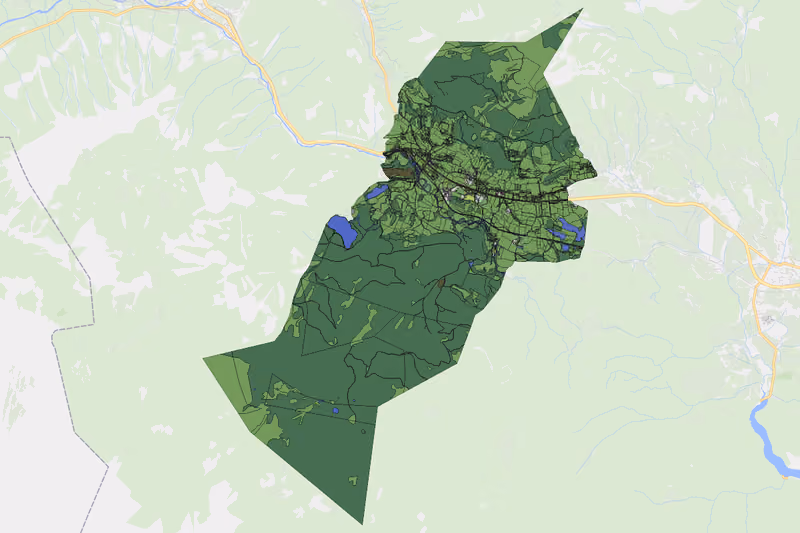 Kartenvorschau des Bodenverbrauchs der KG Pichl