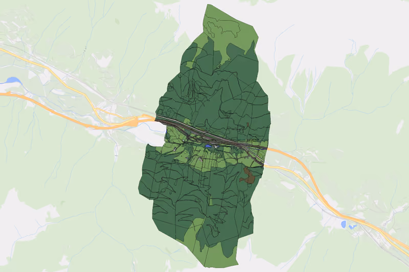 Kartenvorschau des Bodenverbrauchs der KG Furth
