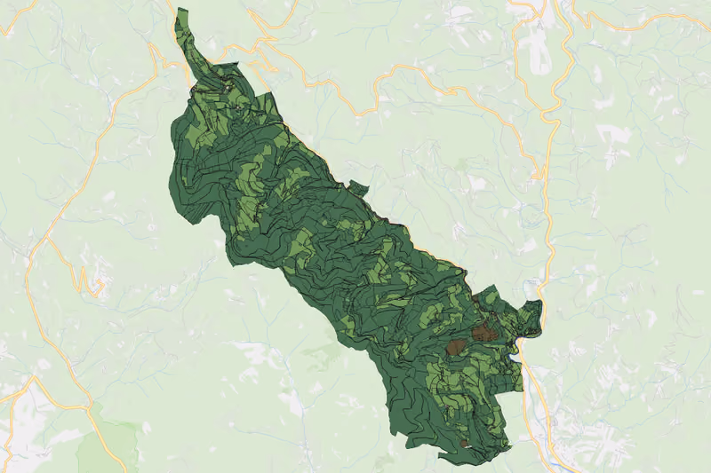 Kartenvorschau des Bodenverbrauchs der KG Naintsch