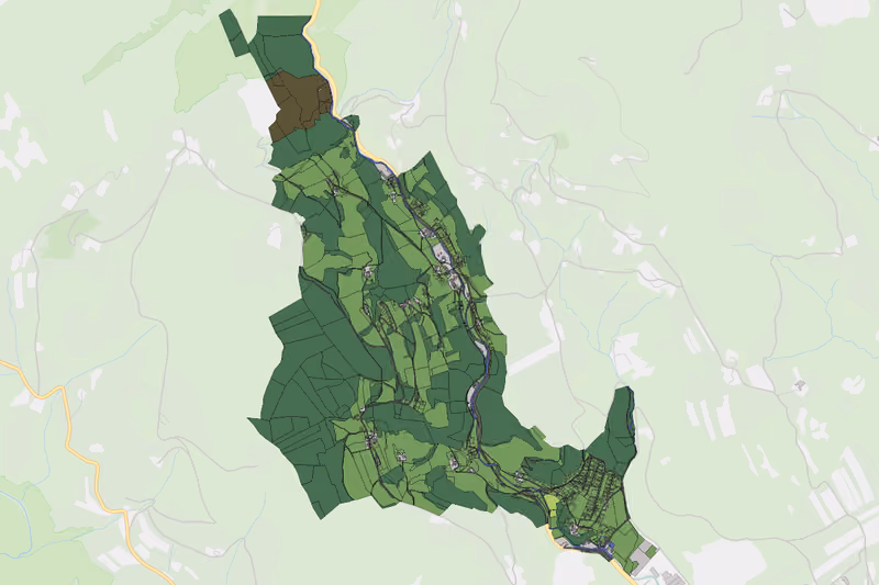 Kartenvorschau des Bodenverbrauchs der KG Affenthal