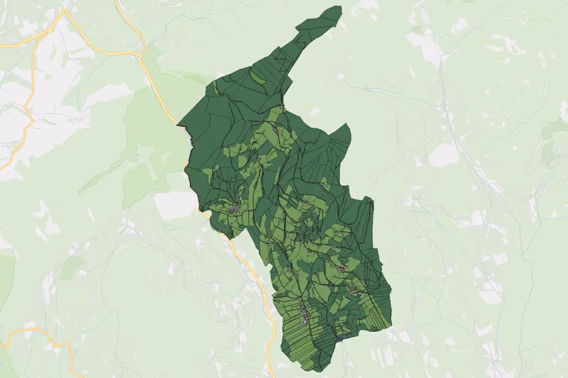 Kartenvorschau des Bodenverbrauchs der KG Naas