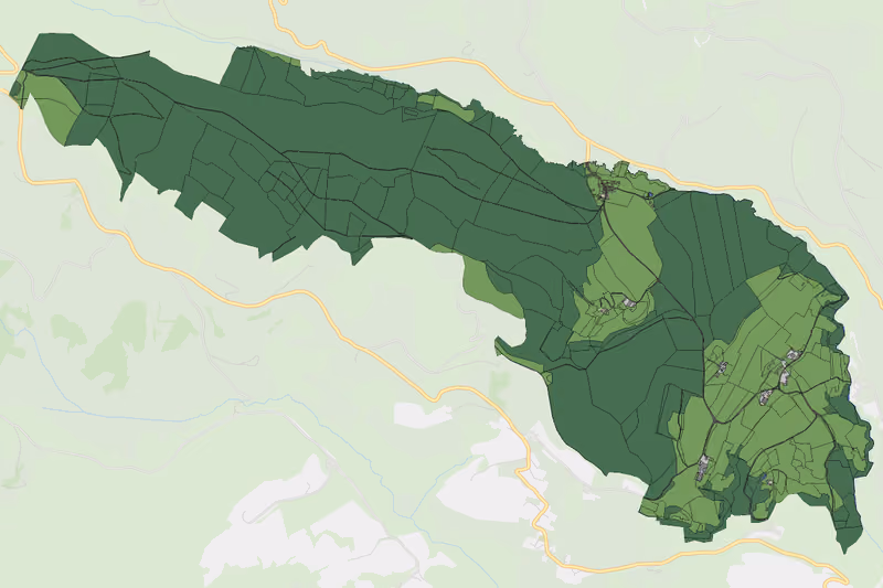 Kartenvorschau des Bodenverbrauchs der KG Pflausach