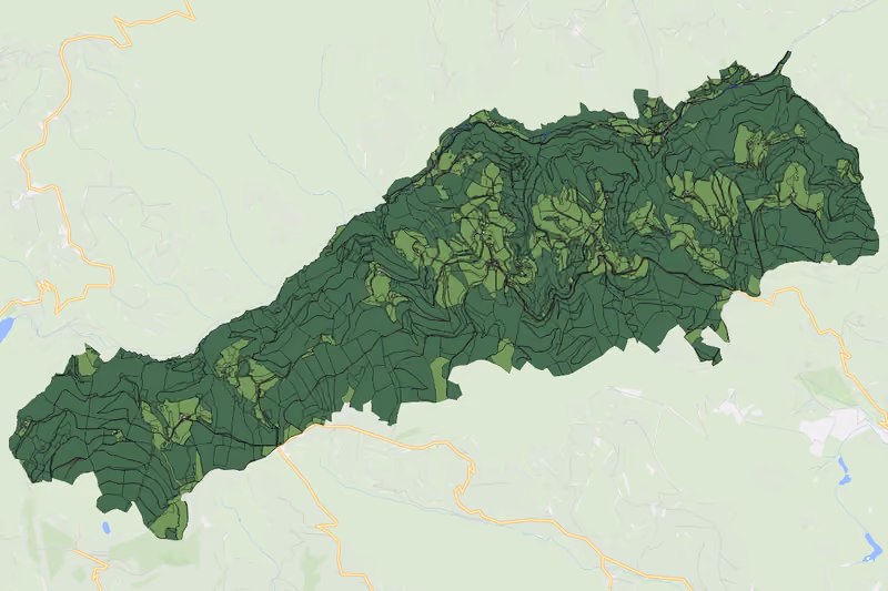 Kartenvorschau des Bodenverbrauchs der KG Steinbichl