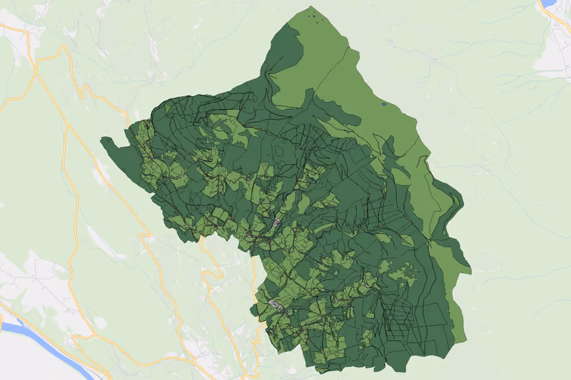 Kartenvorschau des Bodenverbrauchs der KG Mooswald