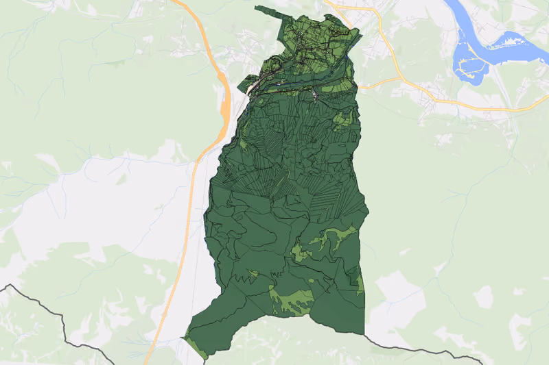 Kartenvorschau des Bodenverbrauchs der KG Frießnitz