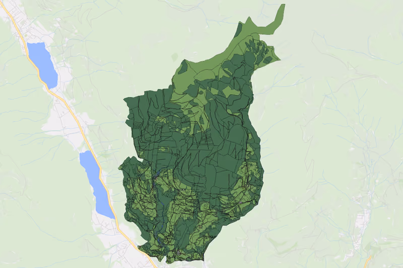 Kartenvorschau des Bodenverbrauchs der KG Berg ob Afritz