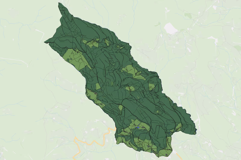 Kartenvorschau des Bodenverbrauchs der KG Obergreutschach
