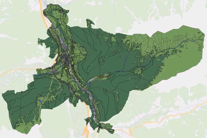 Kartenvorschau des Bodenverbrauchs der KG Steinach