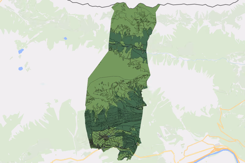 Kartenvorschau des Bodenverbrauchs der KG Wildermieming