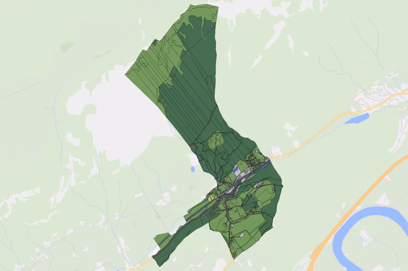 Kartenvorschau des Bodenverbrauchs der KG Mariastein