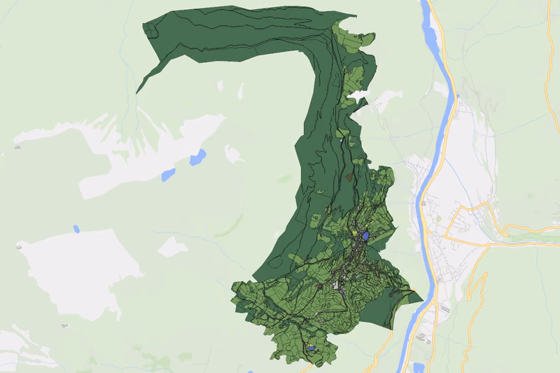 Kartenvorschau des Bodenverbrauchs der KG Ladis