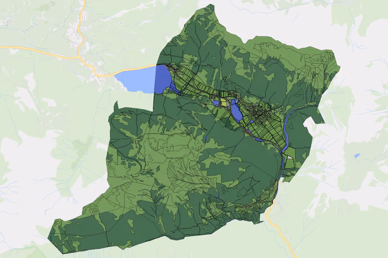 Kartenvorschau des Bodenverbrauchs der KG Nesselwängle