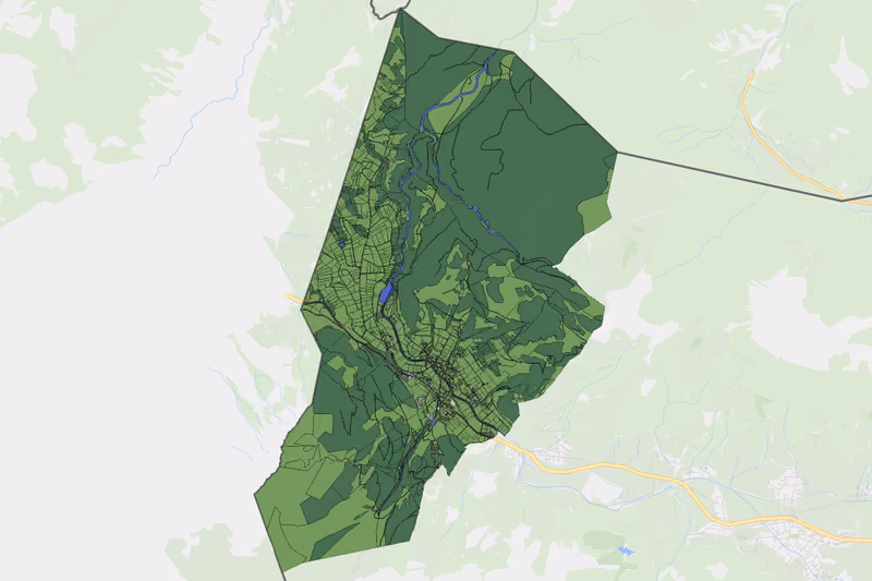 Kartenvorschau des Bodenverbrauchs der KG Schattwald