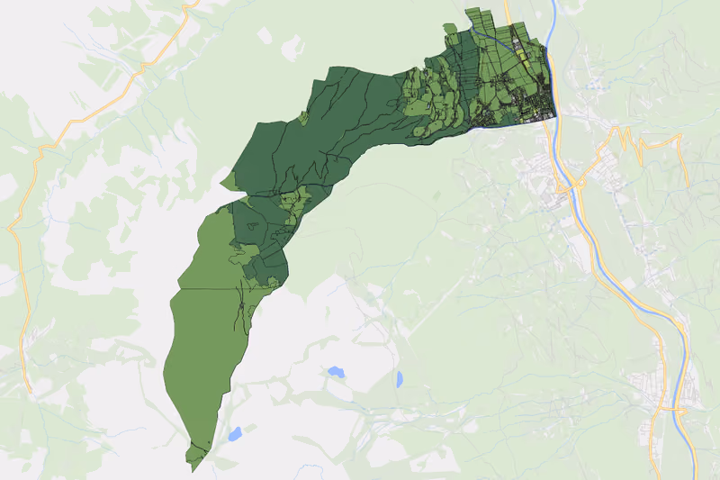 Kartenvorschau des Bodenverbrauchs der KG Ried