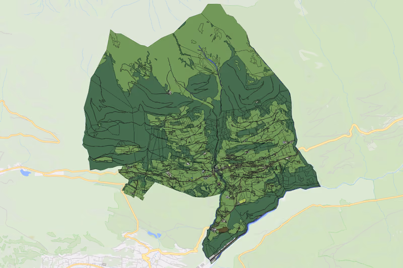 Kartenvorschau des Bodenverbrauchs der KG Thüringerberg