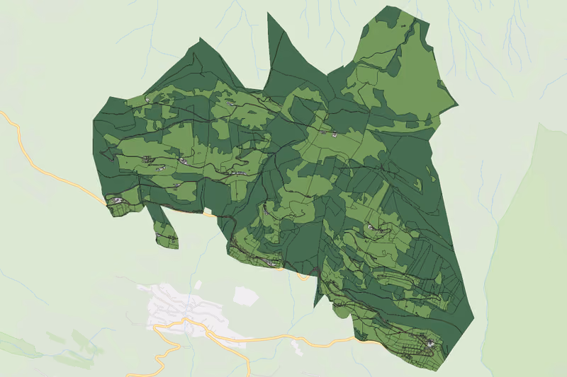 Kartenvorschau des Bodenverbrauchs der KG Dünserberg