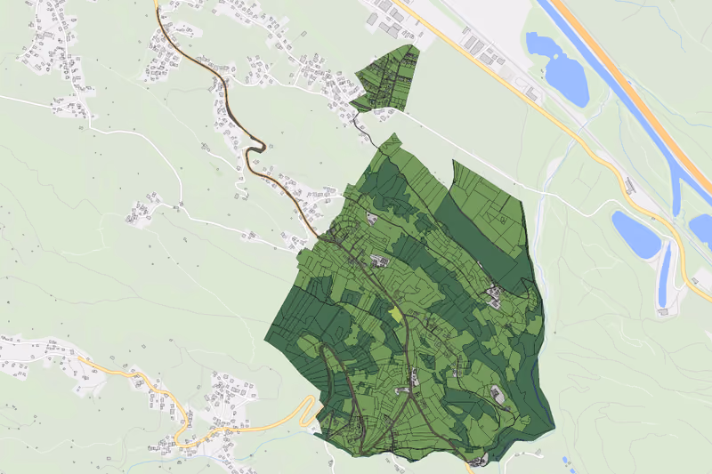 Kartenvorschau des Bodenverbrauchs der KG Frastanz II, III